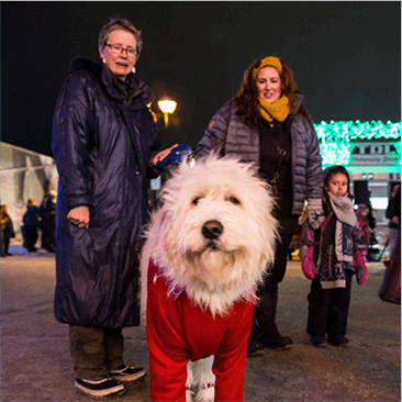 t_v3PoochParade